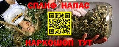 тгк Новодвинск