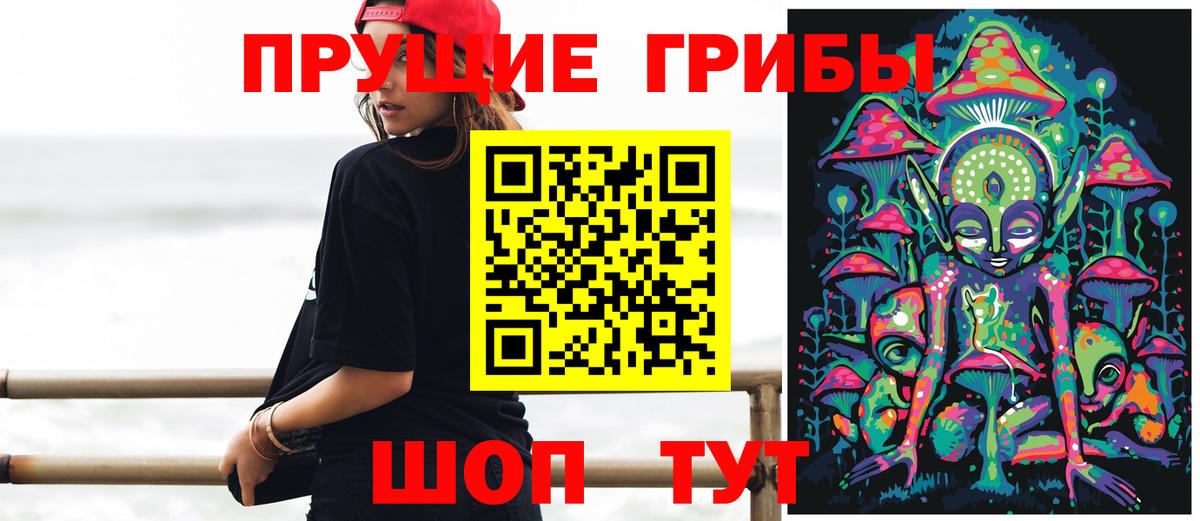 Светлоград  Галлюциногенные грибы мицелий  Вход с VPN  Галлюциногенные грибы Psilocybe 
